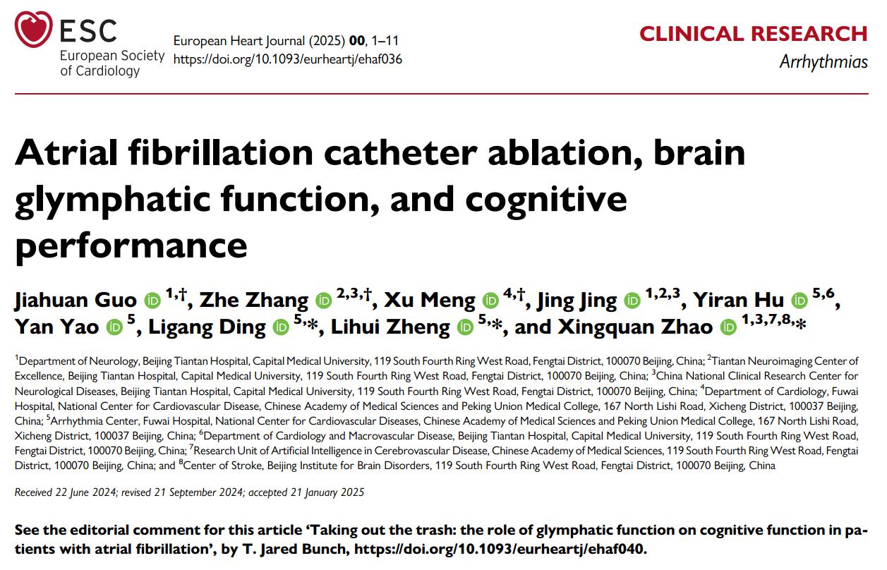  天坛、阜外团队联合 首次揭示心房颤动及导管消融治疗对大脑类淋巴功能的潜在影响及其与认知功能的关联
